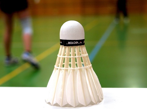 badminton-783601.jpg
