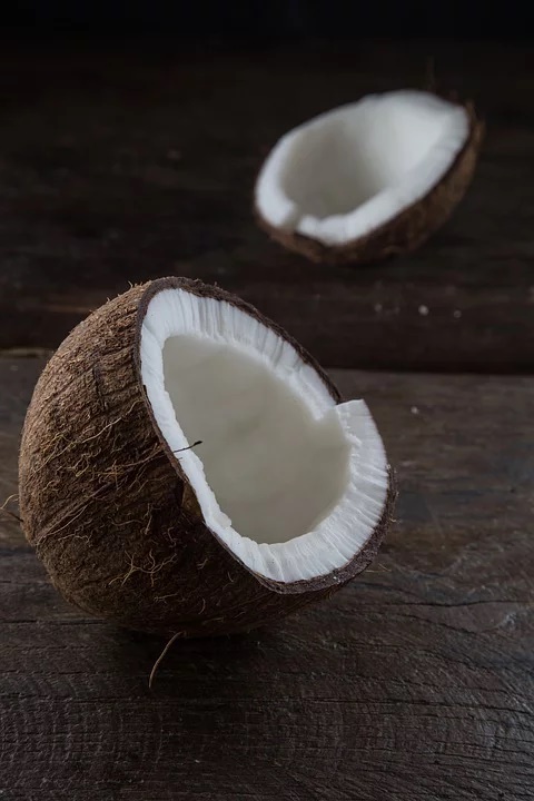 coconut-1123738.jpg