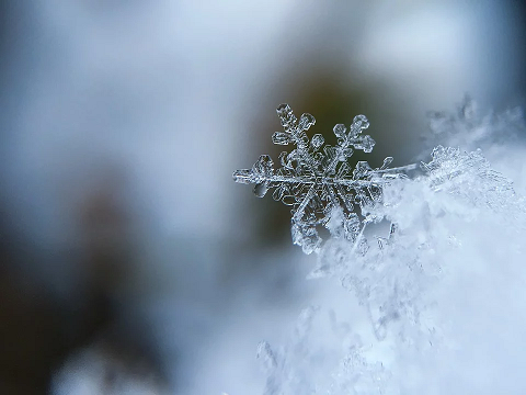 snowflake-1245748.jpg