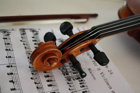 violin-3131551.jpg